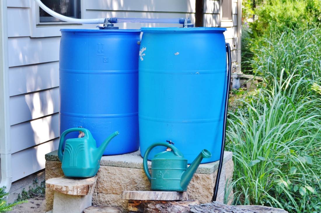 Two blue rain barrels are hooked up to collect rain water in Hawaii